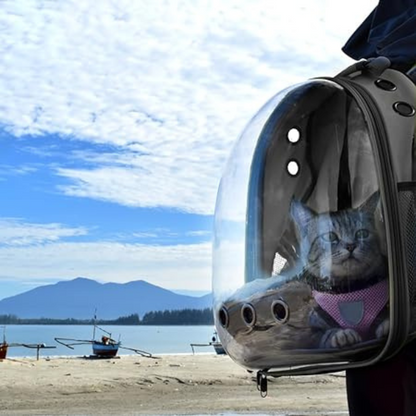 Mochila Pet Transp De Cães E Gatos Visão Panorâmica(PRETO)