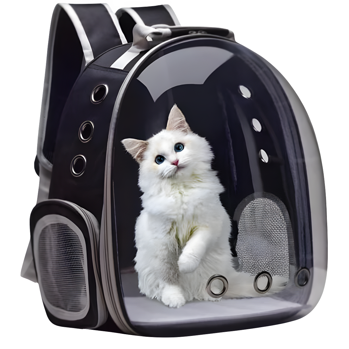 Mochila Pet Transp De Cães E Gatos Visão Panorâmica(PRETO)