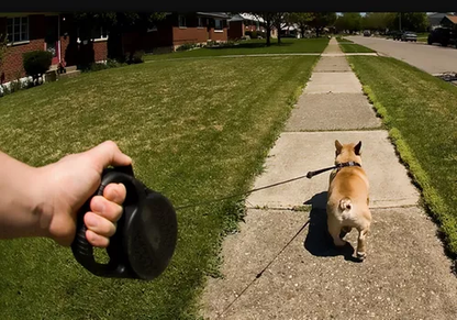 Coleira retrátil TOP para cachorro